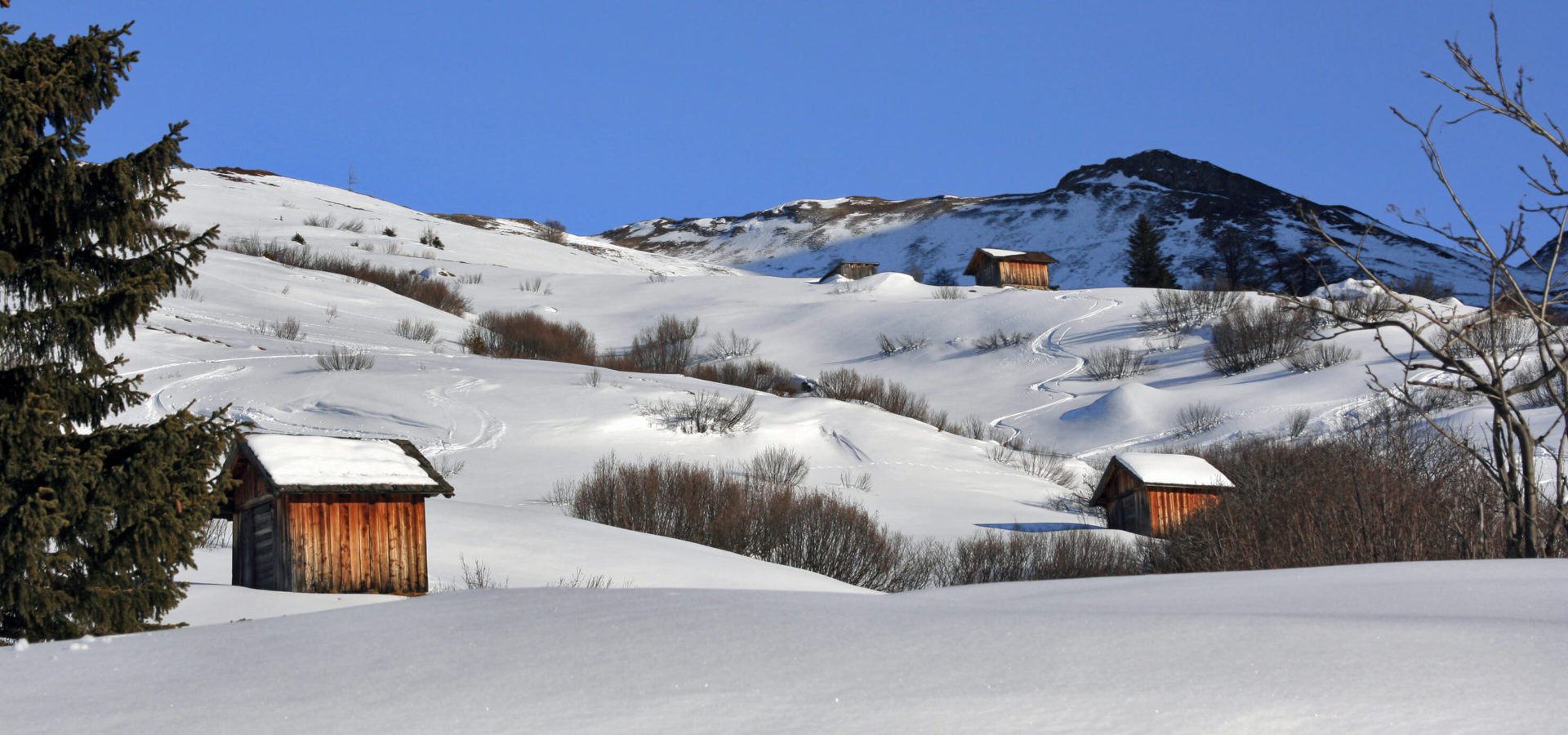 Winter-im-Pflerschtal